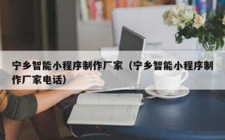 邢台宁乡智能小程序制作厂家（宁乡智能小程序制作厂家电话）